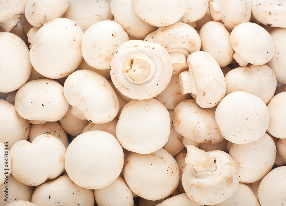 Background of fresh champignons