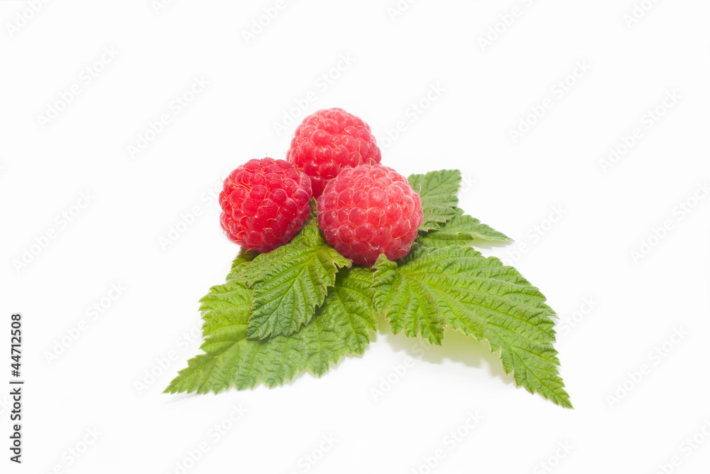 Raspberry with leaves on white background Raspberry with leaves on white background