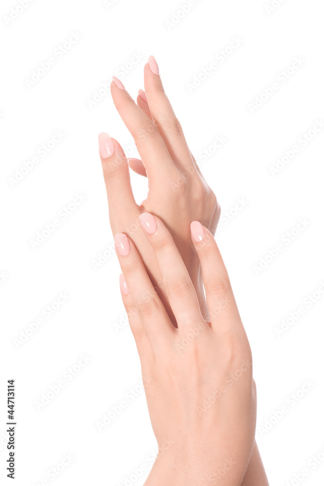 Beautiful Female Hands