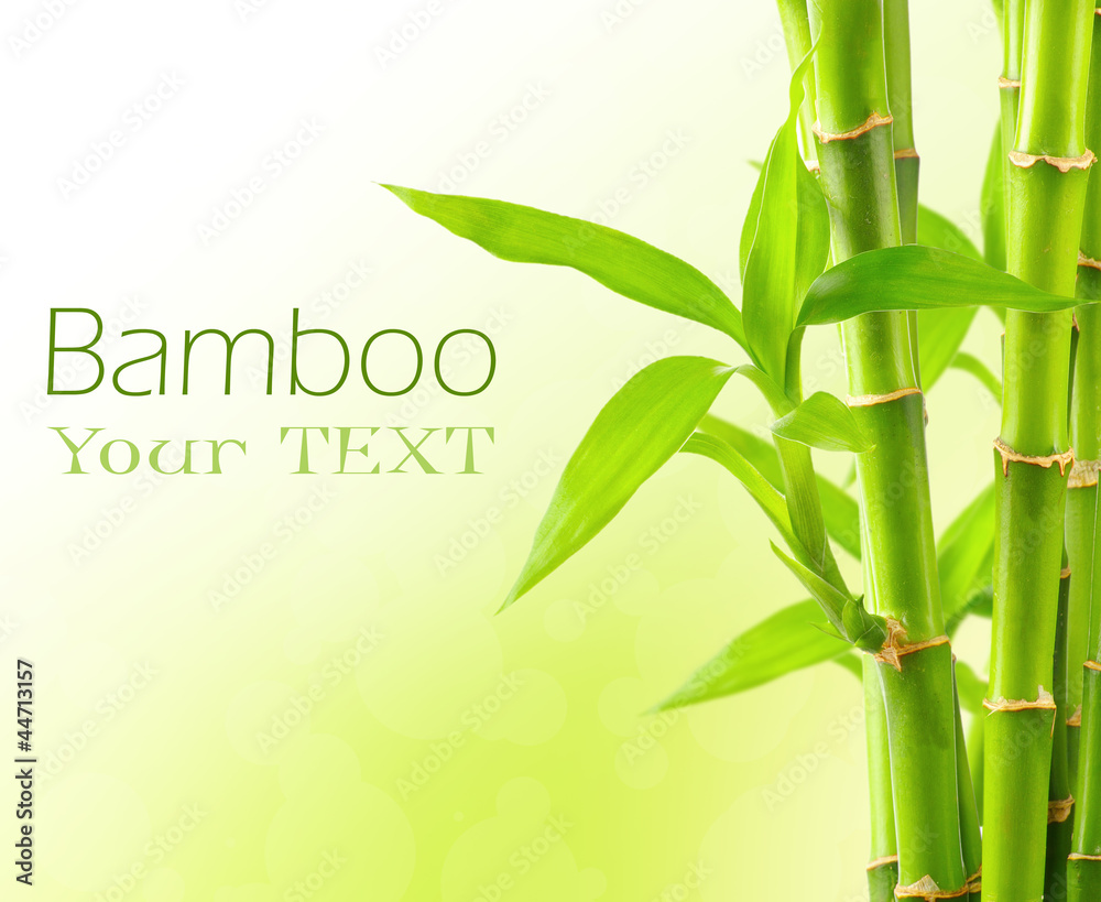 Naklejka premium Bamboo background with copy space