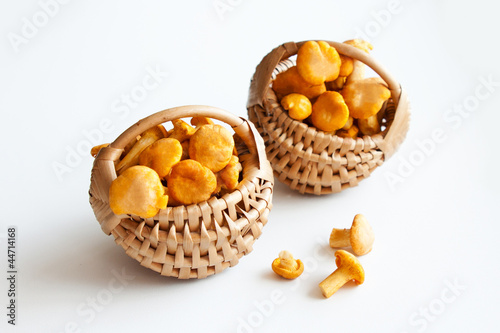 Лисички в плетенной корзине