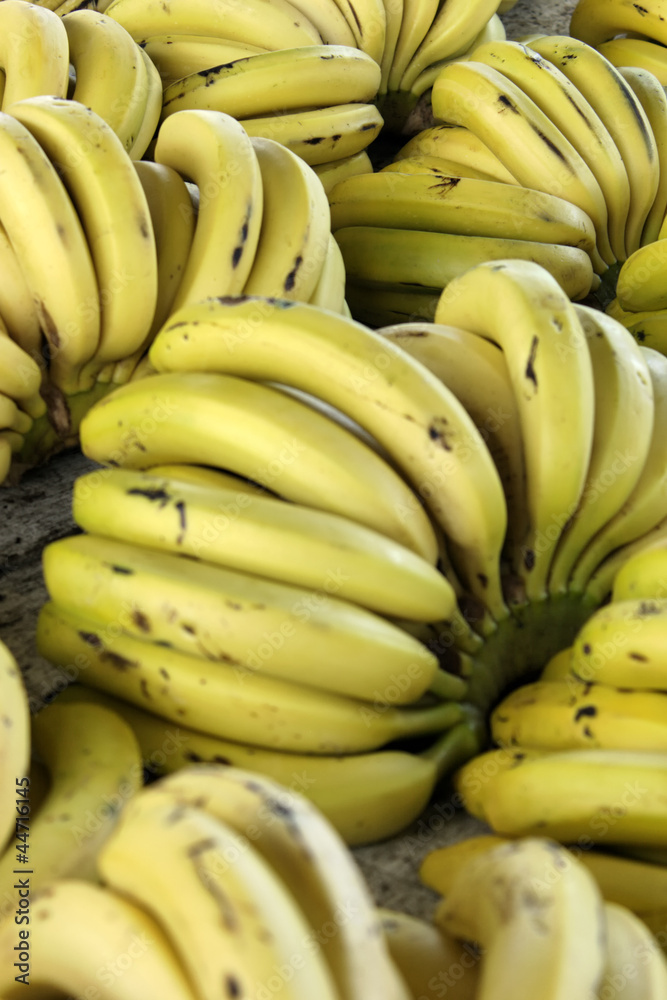 Delicious bananas
