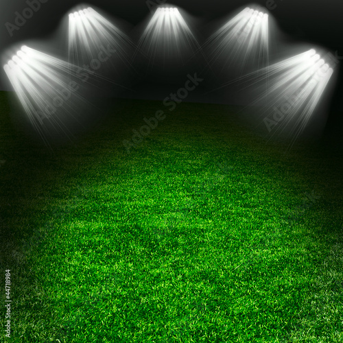Soccer green field with light © Aleksandr Salenko