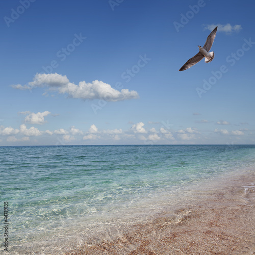 Tropical beach. Sky and sea.