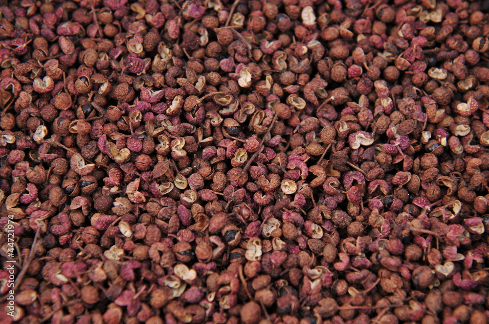 Fototapeta premium Prickly ash
