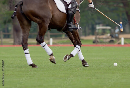 Polo Rider aiming for the ball