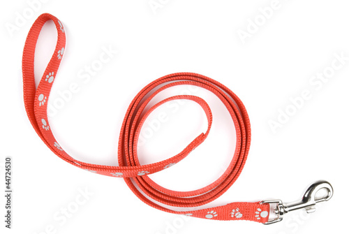 Red nylon dog lead or leash with paw print pattern on white photo