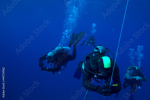 Group of divers on 5-min safety stop, Cuba © Rostislav Ageev