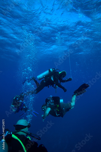 Group of divers on 5-min safety stop, Cuba © Rostislav Ageev