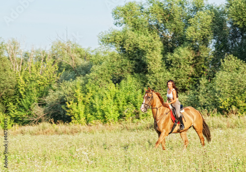 Beautiful girl riding a horse in countryside