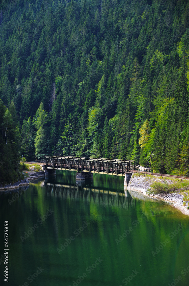 Forest, Meadow, Bridge, Lake