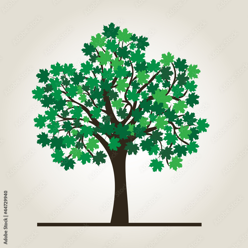 Obraz premium Summer tree