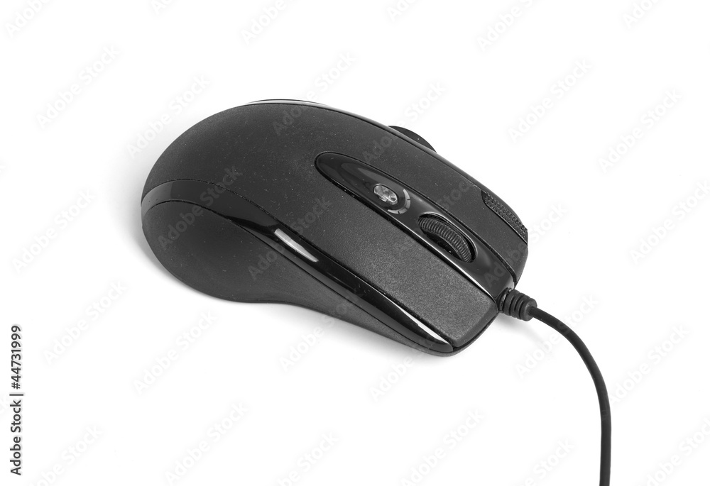 computer mouse