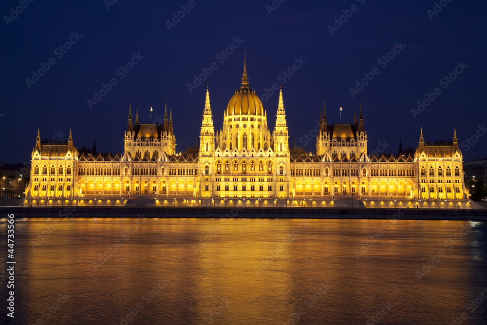 The Budapest Parliament of the night