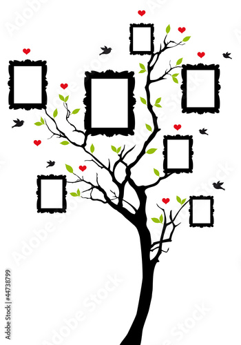 family tree with frames, vector #44738799
