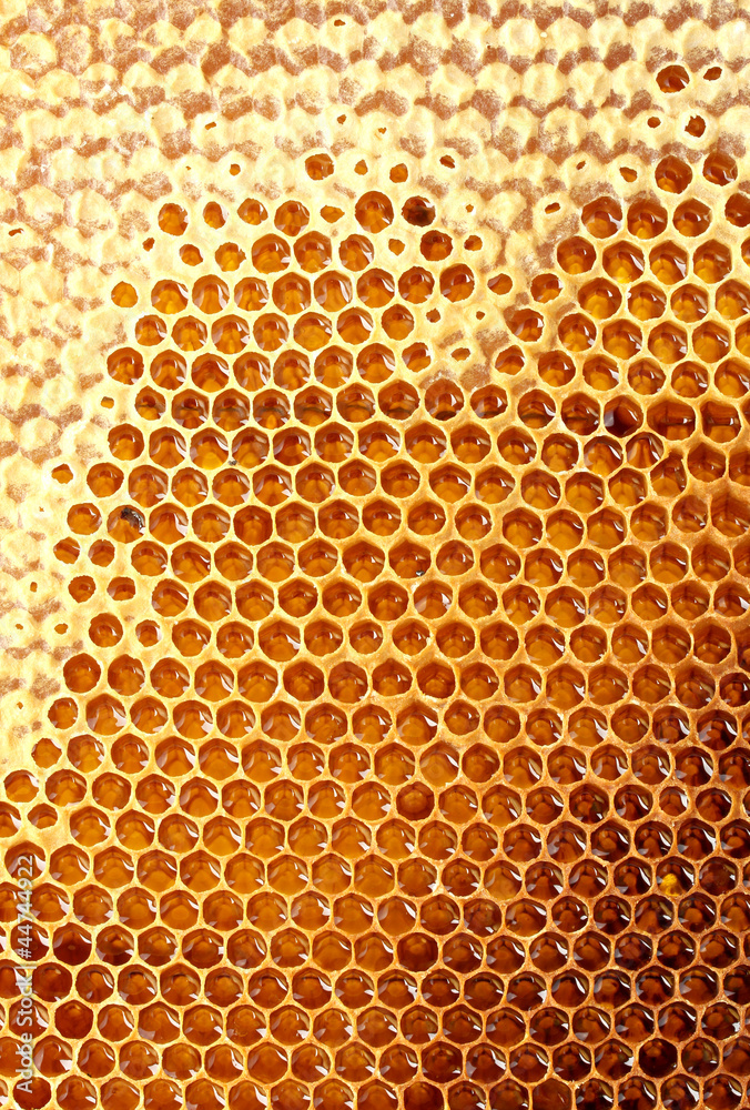 yellow beautiful honeycomb with honey, background