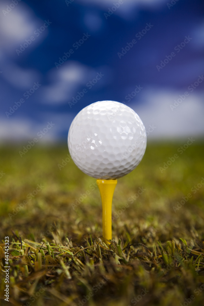 Golf ball on green grass