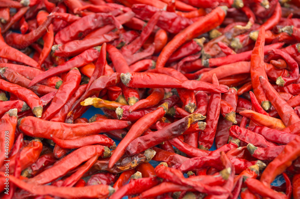 chilli red peppers chilli red peppers