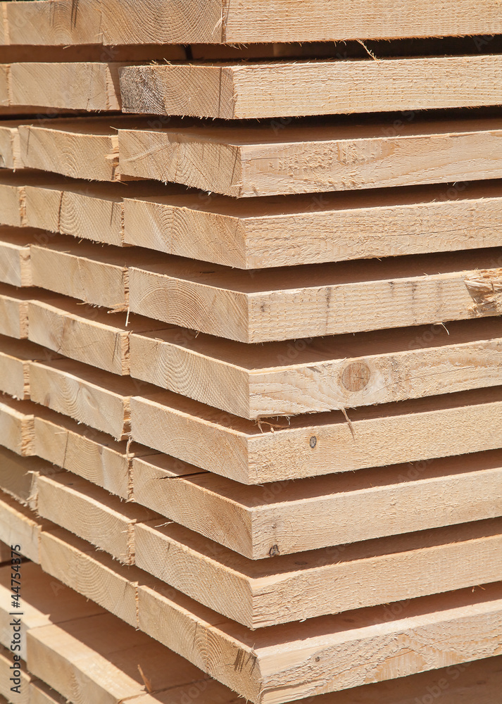 Fresh wooden studs Fresh wooden studs