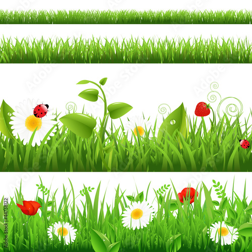 Fototapeta Naklejka Na Ścianę i Meble -  Grass Backgrounds Set With Flowers And Ladybug