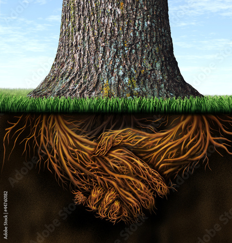 Strong Business Roots photo
