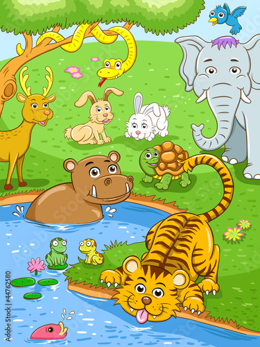 animal