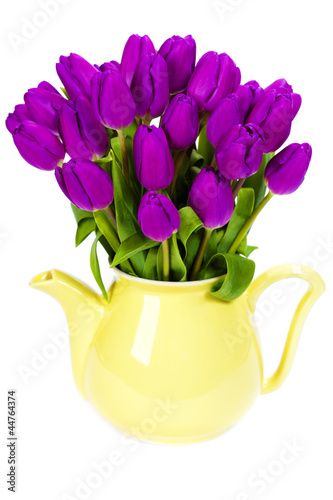 Wallpaper Mural purple tulips Torontodigital.ca