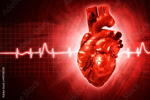 ECG abstract backgrounds with human 3D rendered heart