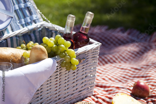 Fresh food from picninc basket on grass in the garden