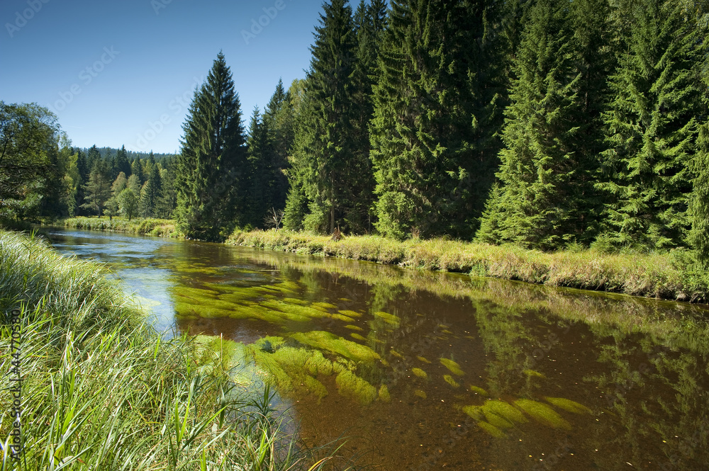 Vltava river -  the national park Sumava, Czech republic,Europe