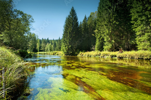 Vltava river in the national park Sumava, Europe