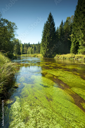 Vltava river in the national park Sumava  Czech republic Europe