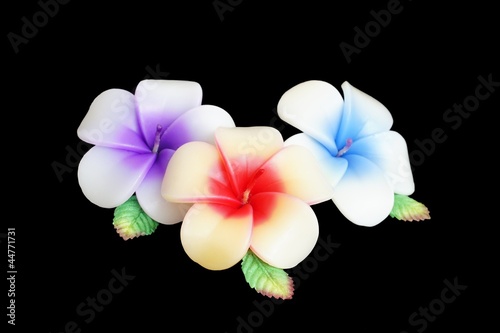 candle flower on black - plumeria