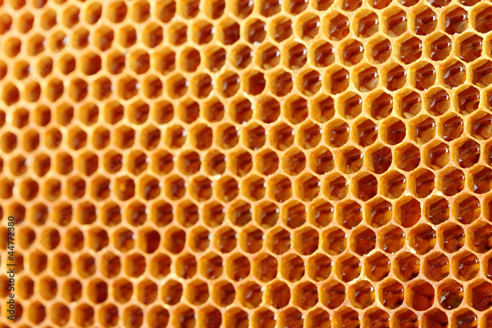 yellow beautiful honeycomb with honey, background yellow beautiful honeycomb with honey, background