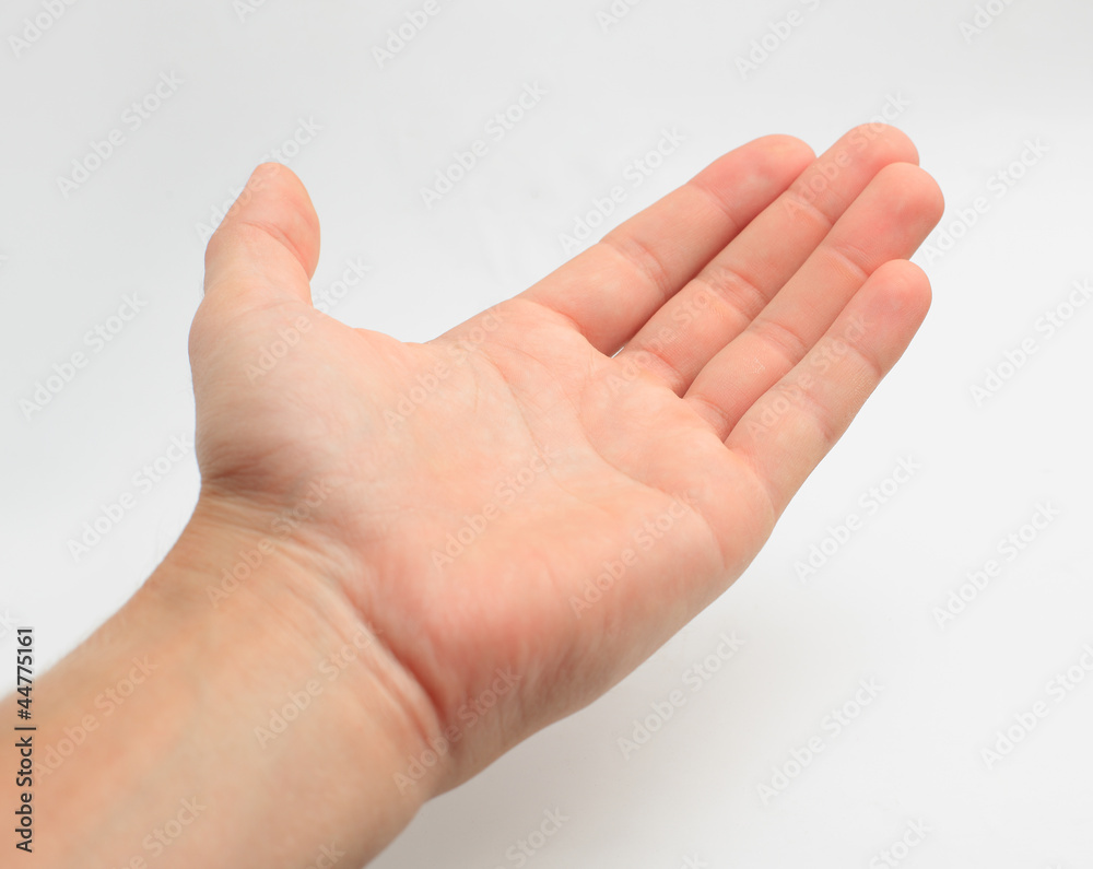 hand palm open hand palm open