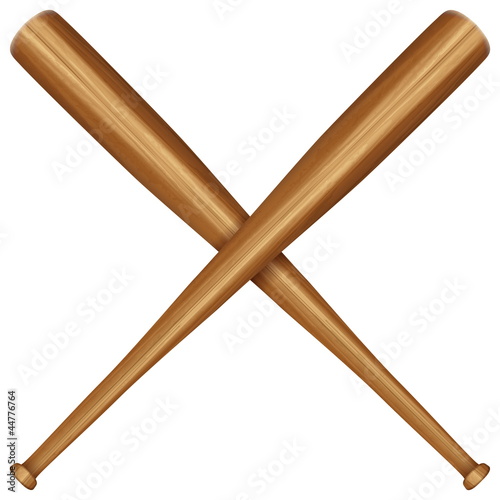 wooden baseball bat