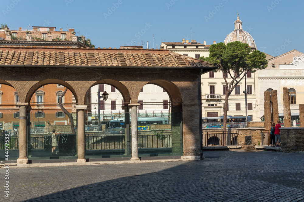 Fototapeta premium Roma, largo di Torre Argentina, (scorcio)