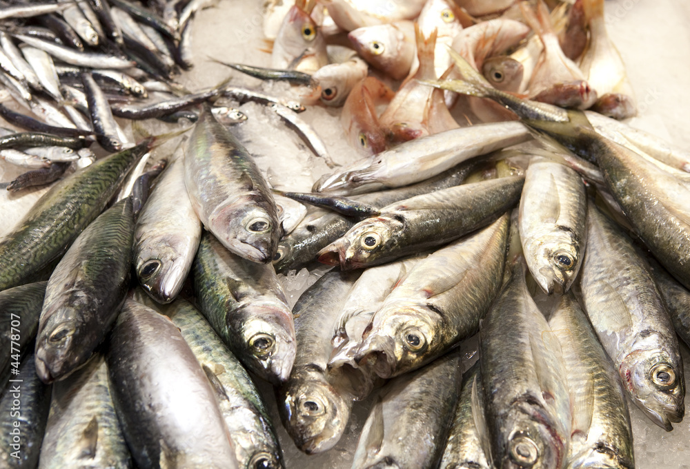 Obraz premium Fresh fishes in a market