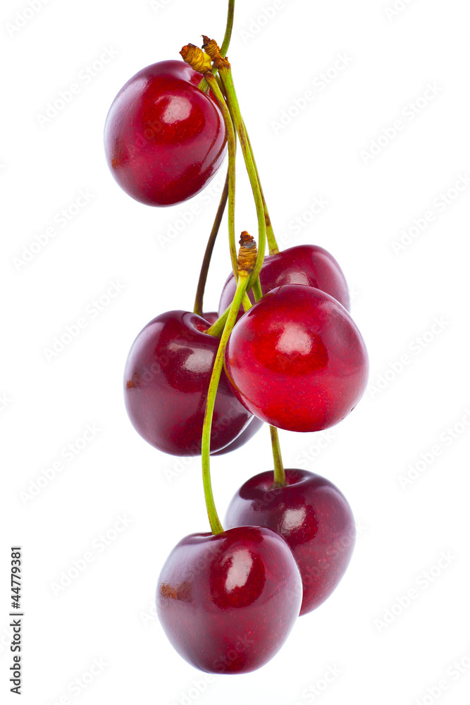 Delicious Cherries - obrazy, fototapety, plakaty 