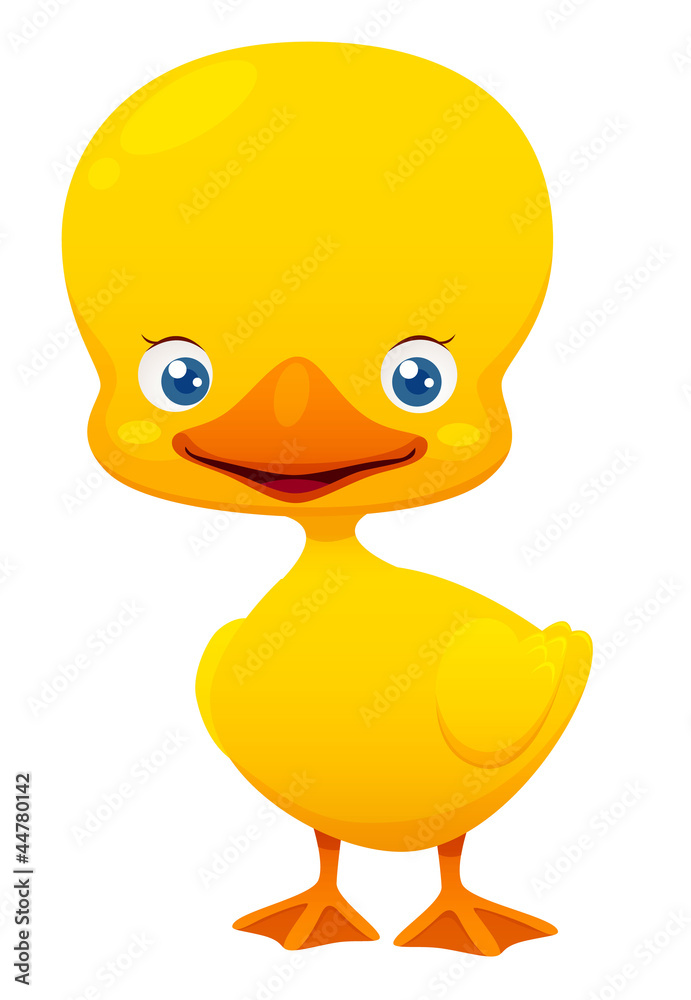 Fototapeta premium Little duck
