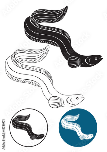 eel