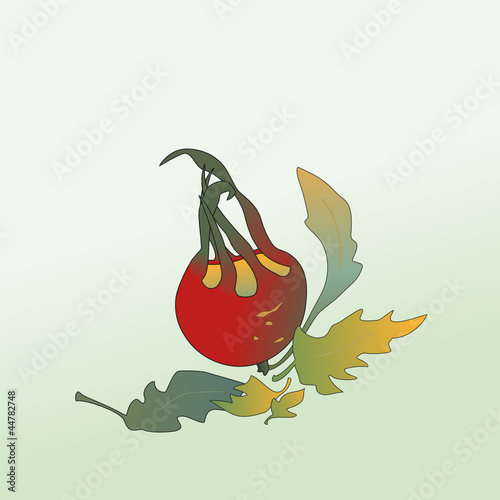 Rote Herbstfrucht mit Blättern