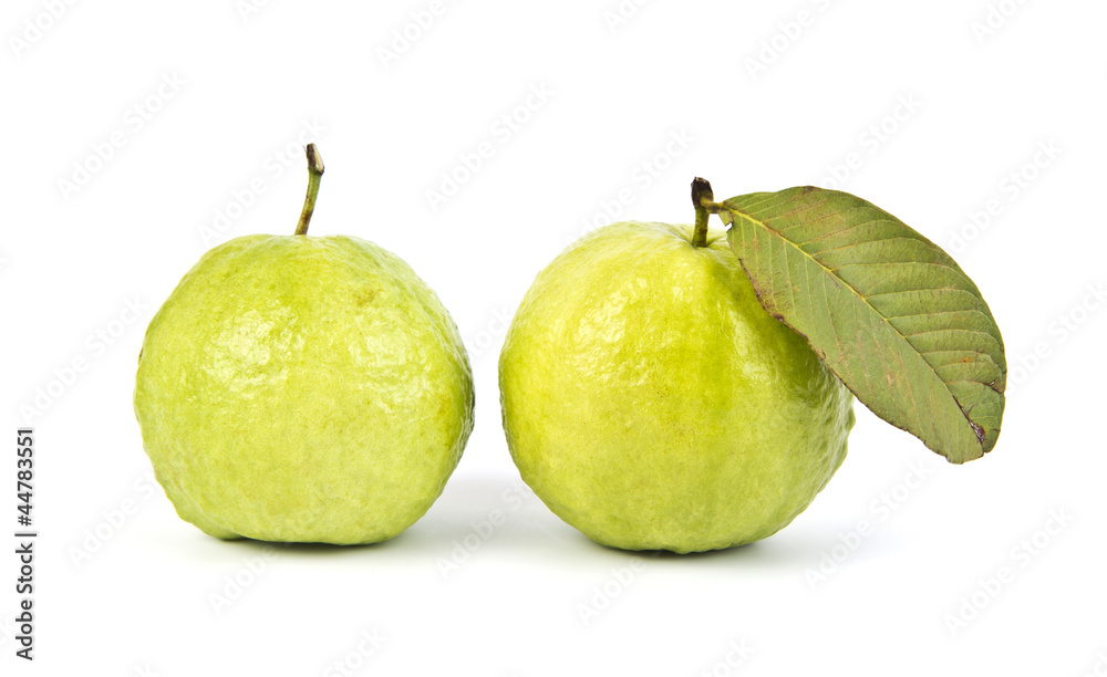 Guava
