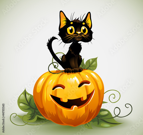 Black cat on a Halloween pumpkin.