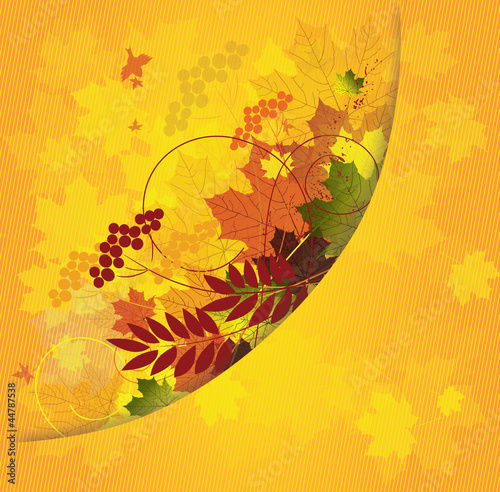 autumn floral background