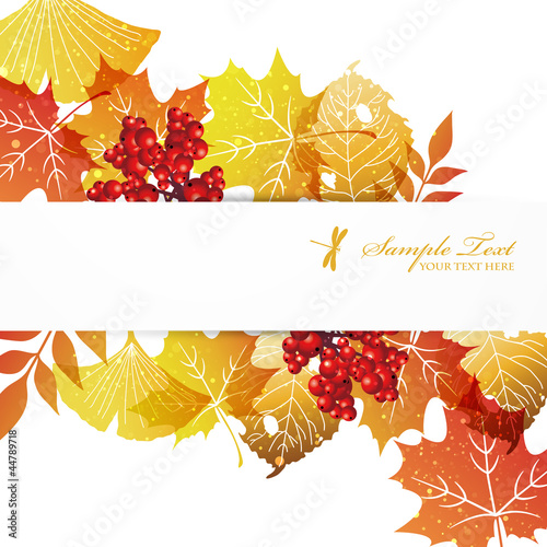 fallen leaves background