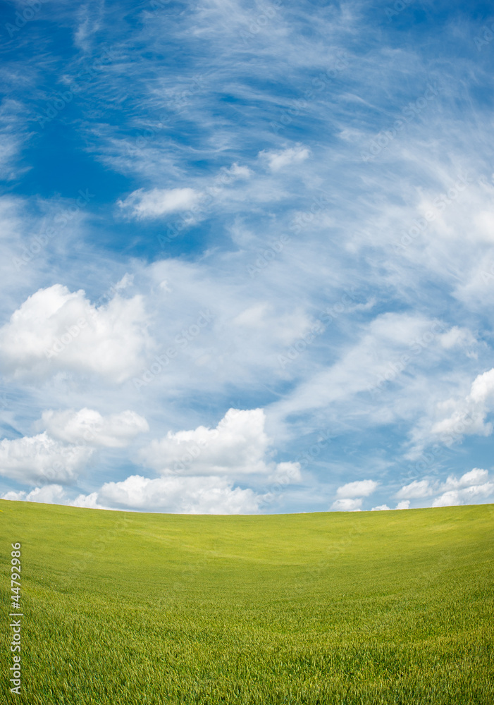 Naklejka premium green field and blue cloudy sky background