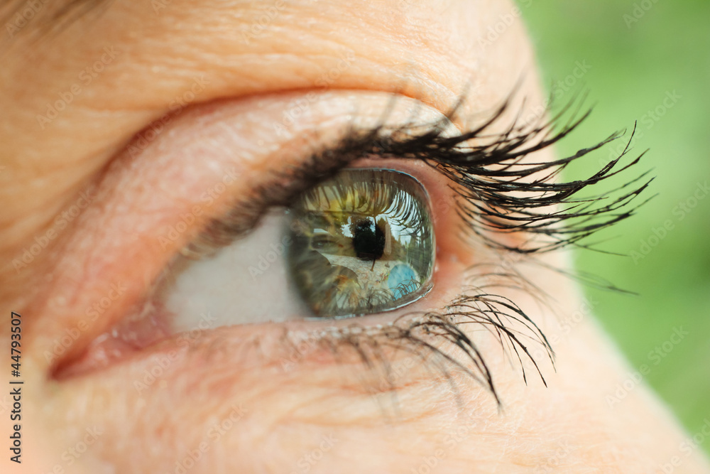 Fototapeta premium regard