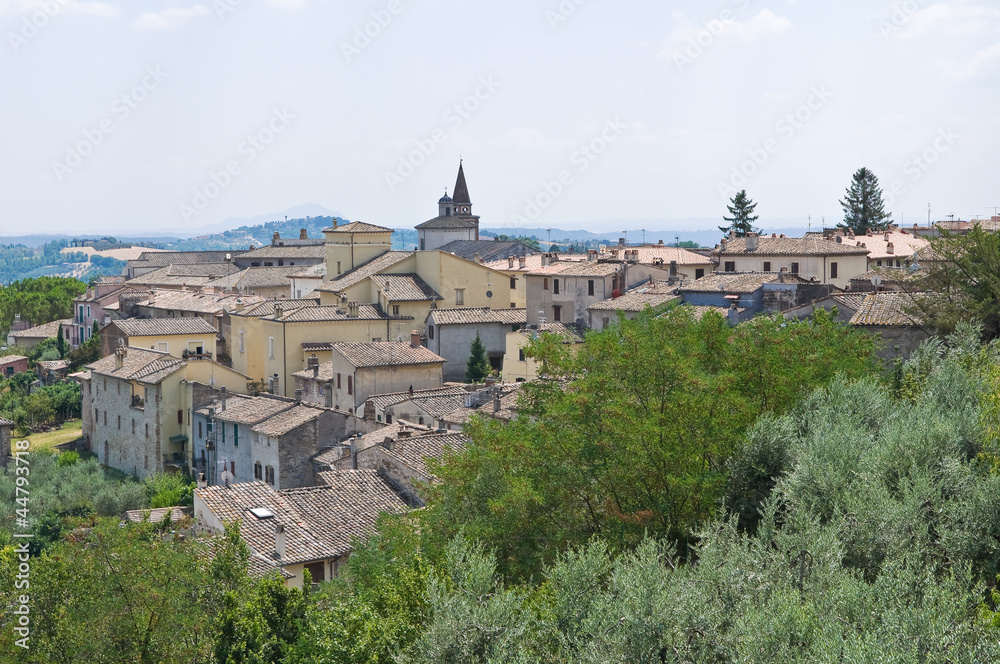 Panoramic view of Amelia. Umbria. Italy.