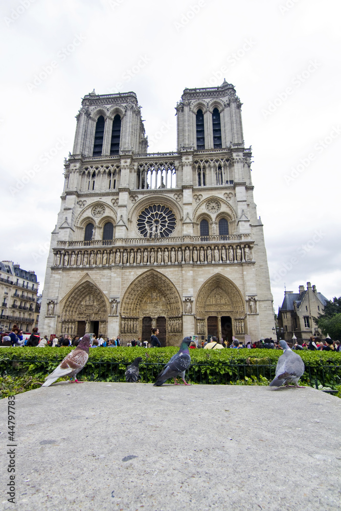 Notre Dame Cathedral in Paris, France Notre Dame Cathedral in Paris, France